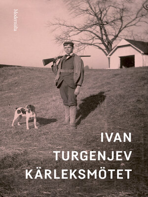 cover image of Kärleksmötet